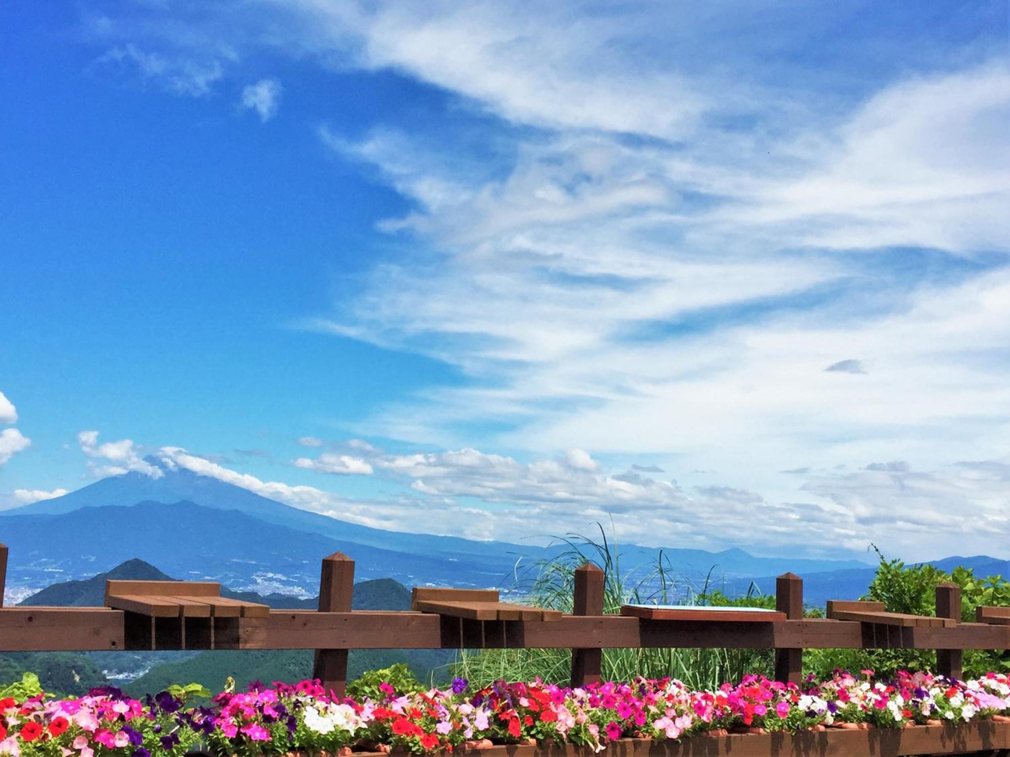 Izu Daisenya Otel Izunokuni Dış mekan fotoğraf