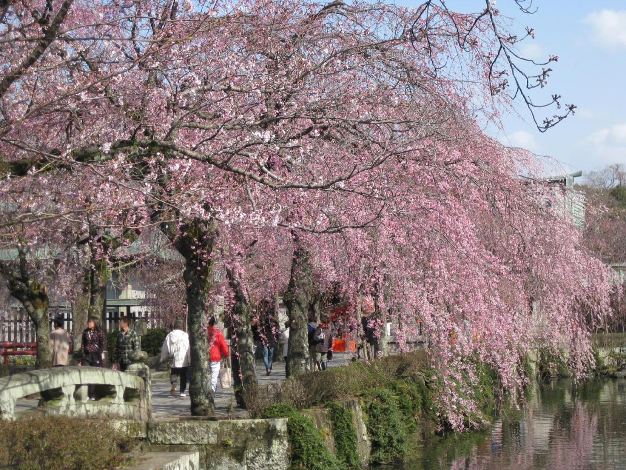 Izu Daisenya Otel Izunokuni Dış mekan fotoğraf